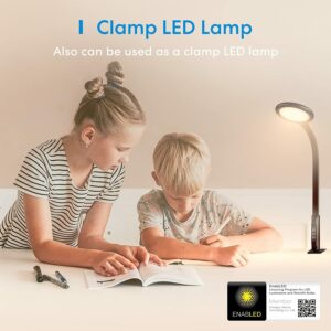 Smart Floor Lamp